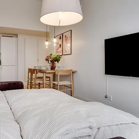 Hojloftet Stilfuld Taet Pa Centrum Med Altan Daire Odense